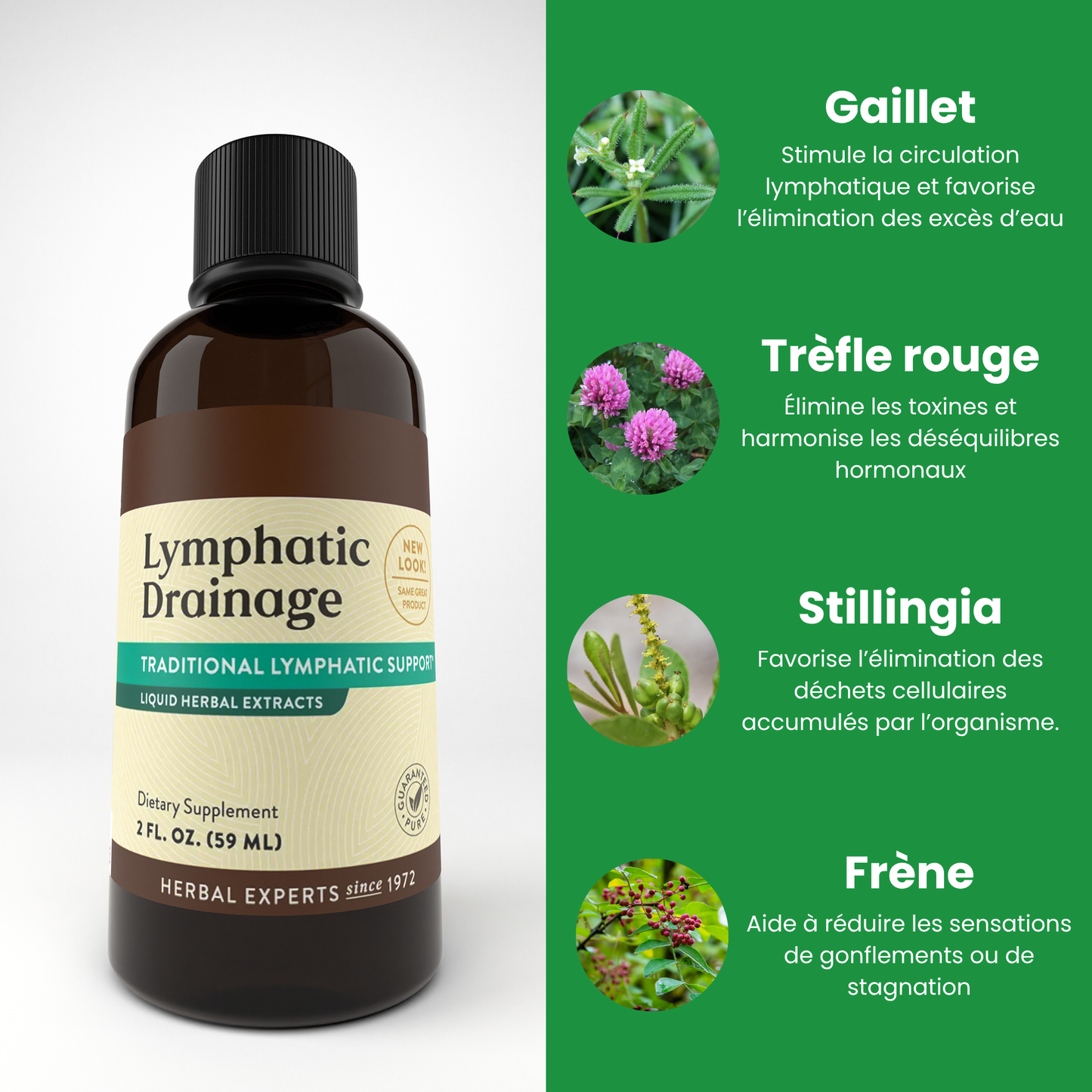 Drainage lymphatique liquide - Retrouvez légèreté, énergie et peau lisse